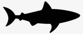 Hammerhead Shark Clipart Shark Shadow - Shark Svg #7918084
