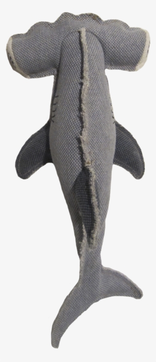 Join The Fastest Growing Pet Community For Free - Trout #7918118