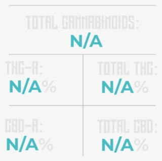 Hammerhead Shark - Graphic Design #7918277