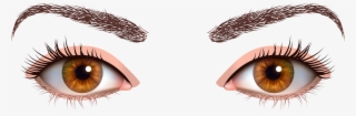 Brown Female Eyes Png Clipart - Green Eyes Png #7918724