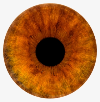 Brown Sticker - Circle #7919103