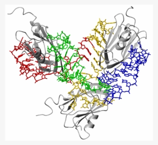 A Special Issue Of Chemical Reviews On The Topic "rna - Illustration #7919571