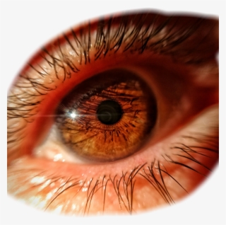 Close-up #7919752