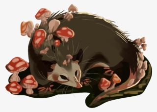 Mushroom Opossum - Illustration #7919864