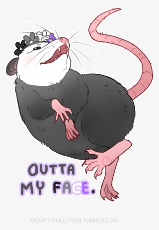 “today's Pride Opossum Of The Day Is Asexual Screw - Dog Catches Something #7920322