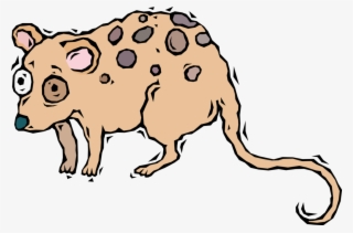 Vector Illustration Of Starry-eyed Opossum #7920517
