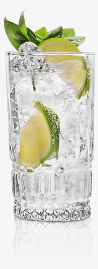 The St~germain Gin & Tonic - Mojito #7920998