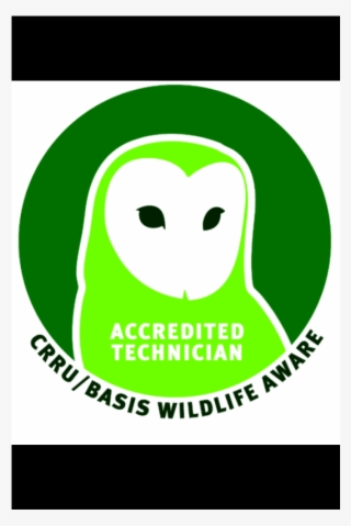 Killer Instinct Pest Control, Colchester - Graphic Design #7921045