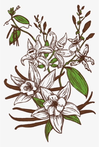 See All Beers - Jasmine #7921151