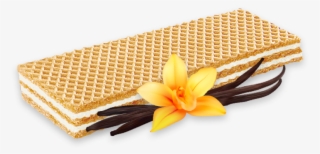 Wafer Vanilla - Petal #7921404 Wafer Vanilla - Petal #7921404