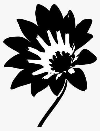 Gazania Rigens Var - African Daisies Svg #7921494