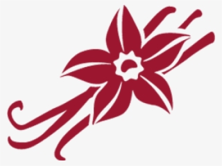 Picto Vanille #7922054