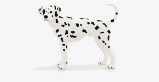 Mojo Animal Planet Dogs #7922165