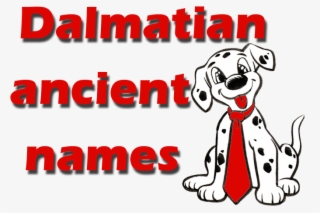 Real And Unique Ancient Dalmatian Names - Dalmatian Names #7922414