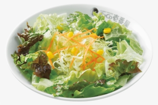 Green Salad185yen - Garden Salad #7923184