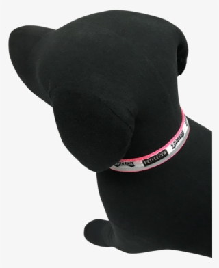 Philadelphia Eagles Dog Collar - Dog #7925381