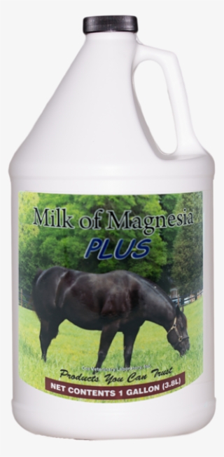 Home / All Products / Digestive Support / Milk Of Magnesia - Bottle #7925410