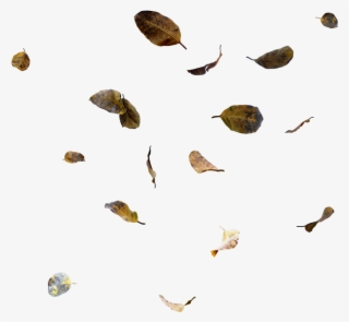 Ftestickers Sticker - Moths And Butterflies #7926483