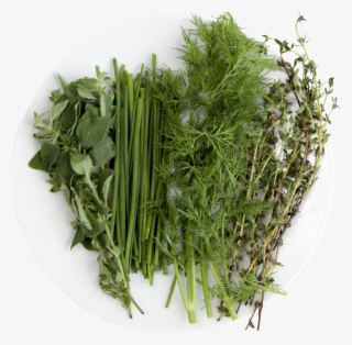 Chef - Grass #7927249