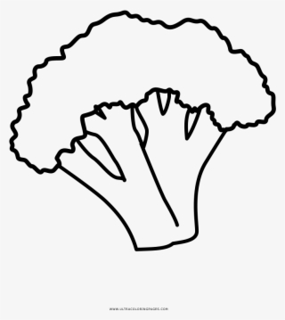 Broccoli Coloring Page - Line Art #7927623