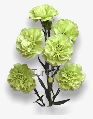 Brocoli - Artificial Flower #7927760
