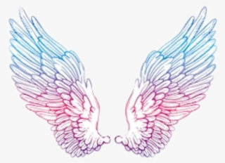 Angelwings Wings Angel Blue Pink Purple Tumblr Trend #7927963