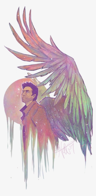 Transparent Angel Wings - Macaw #7928101