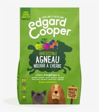 Brocoli Png #7928426