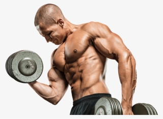 First Nutrition - Pure Whey Protein Results #7928605