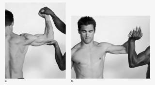 Image Not Available - Infraspinatus Muscle Action On Person #7929864