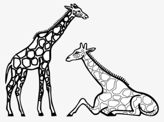 Child Clipart Black And White Elephant Clipart - Colouring Picture Of A Giraffe #7929972