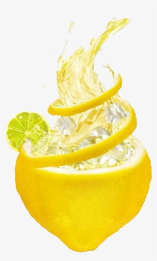 Mq Lemon Sliced Fruit Fruits Splash - Daiquiri #7930051