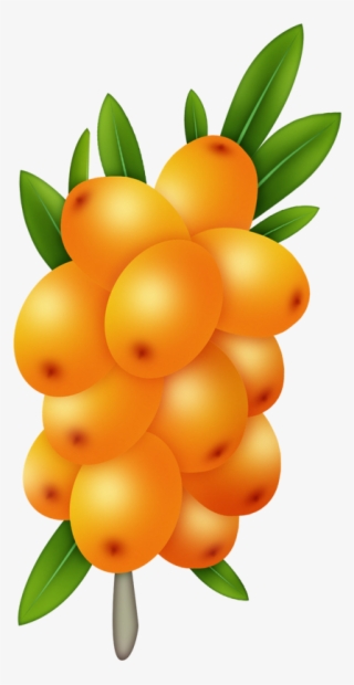 Tropical Watercolor Fruit, Fruit Painting, All Fruits, - Seedless Fruit #7930449