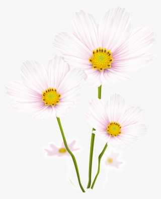 Teenage Girl Pink Flower Pass Transparent - 矢量 图 #7930641 Teenage Girl Pink Flower Pass Transparent - 矢量 图 #7930641