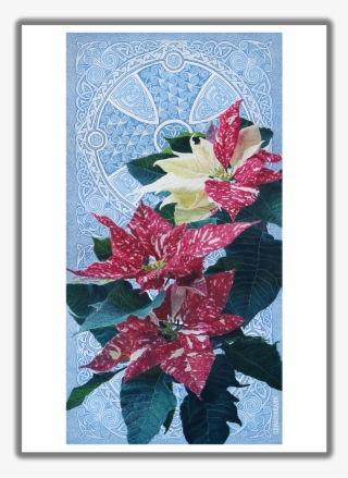 Good Tidings Of Great Joy Poinsettia Christmas Card - Poinsettia #7930997