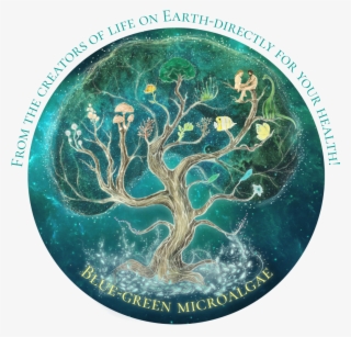 Tree Of Life - Tree #7931078