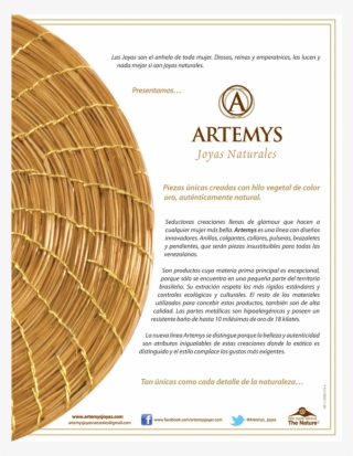 Hoja Introductoria 2 - Plywood #7931127