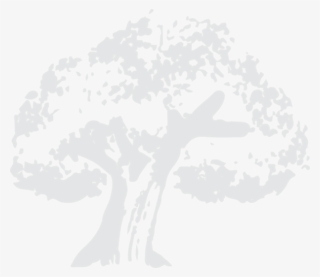 If You Are A Producer Of Cork Products, We Hope You - Oak #7931960