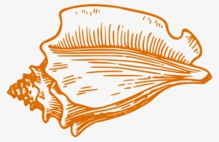 Shell Conch Orange - Clip Art Conch Shell Png #7932707