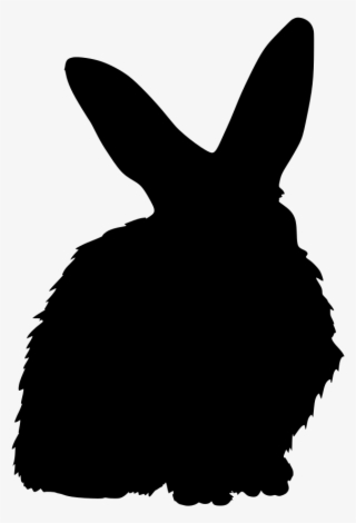Download Png - Domestic Rabbit #7933007