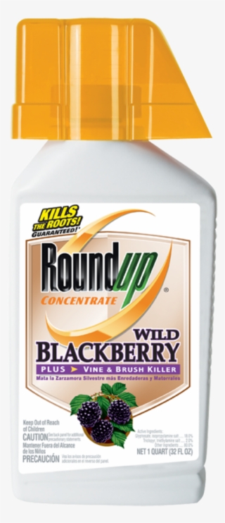 Prevnext - Roundup Blackberry Killer #7933570