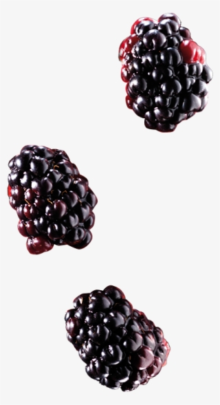 Blackberry #7933668