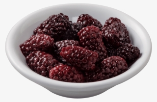 Marion Blackberries - Boysenberry #7933909