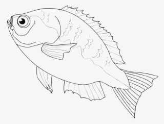 The Fish Are Often Sold At Markets Coloring Pages - Coloring Book #7934360