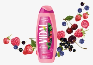 Fruit Picture With Pink Background #7934740