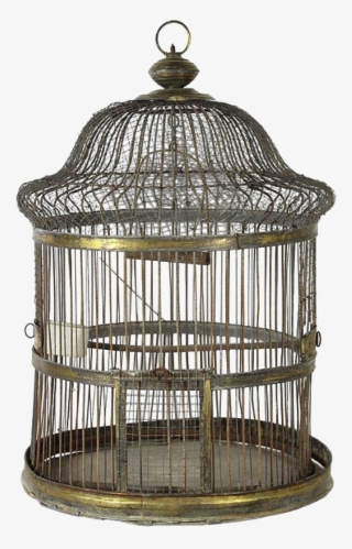 Birdcage Png Photo - Png Transparent Bird Cage #7935004