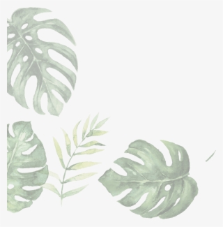 Leaf-2 - Illustration #7936501