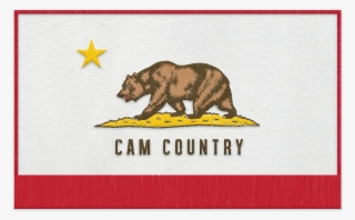 Cam Country Flag Patch - Thin Blue Line California #7936946