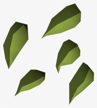 The Green Blossom Seed Is Used In The Herblore Habitat #7938019 The Green Blossom Seed Is Used In The Herblore Habitat #7938019