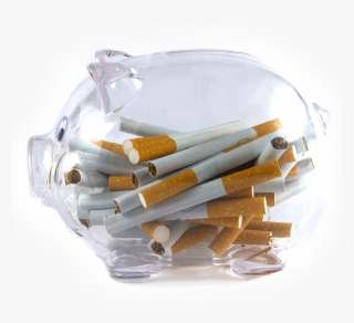 Com Força De Vontade, Você Vai Superar, Pois Esses - Box #7940297